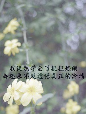 如何测试你的耐心？（掌握这些技巧，提高你的耐心水平！）