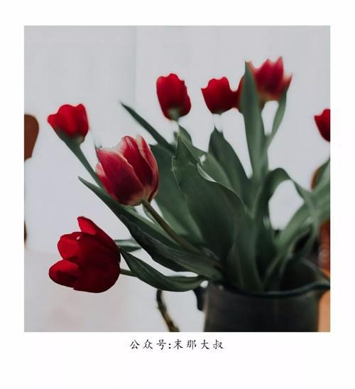 你的真面目揭晓（选对了，瞬间看清你的真面目！）