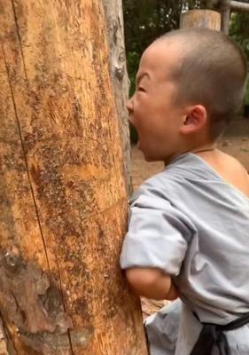 吃苦耐劳，成就人上人（探究吃苦中苦的意义与重要性）