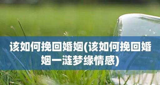 挽回爱情，追回真心（用深意俗语破解爱情密码）