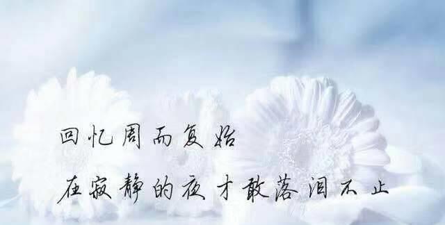 挽回爱情，重塑复合（用真心和付出，让爱情不再错过）