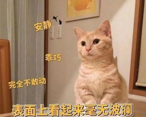如何追求心仪的人？（面对不被接受的挑战，你需要这样做。）
