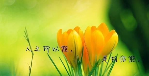 如何用暖心话挽回失去的感情（掌握这些，让你的爱情重新燃起）