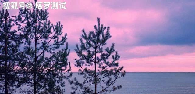 追求何种生活？（探寻人生价值的真谛）