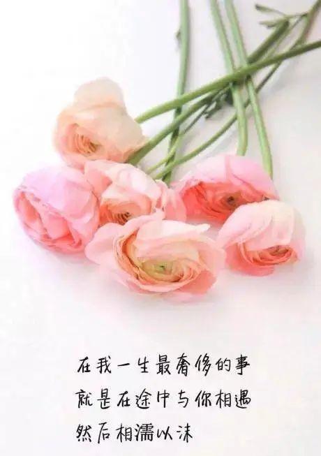 用26句挽留，不让爱情离你而去！（如何用26句话来挽回他/她的心？）