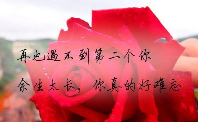 不懂爱过的人如何挽回？（学会爱的关键在哪里，如何成为更好的自己？）