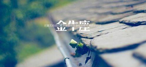 如何挽回金牛座女？,温情与耐心的艺术