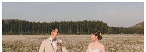 如何挽回老婆伤透的心,全方位攻略，助你挽回心碎妻子