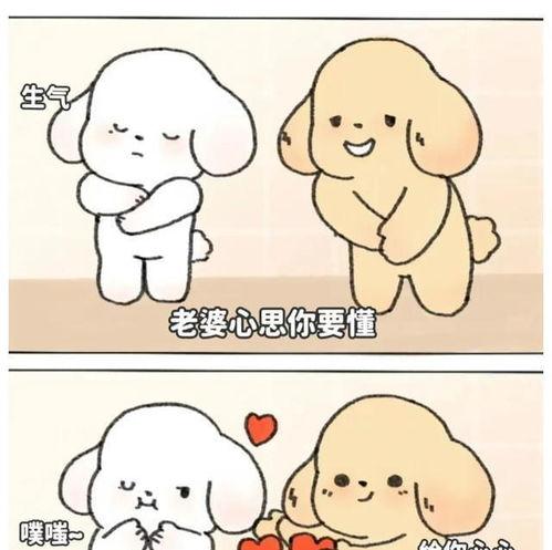 如何哄生气的女朋友,全方位攻略，教你如何哄好生气的女朋友