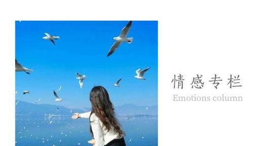 怎么才能挽回老公的心,挽回老公心的五大秘诀