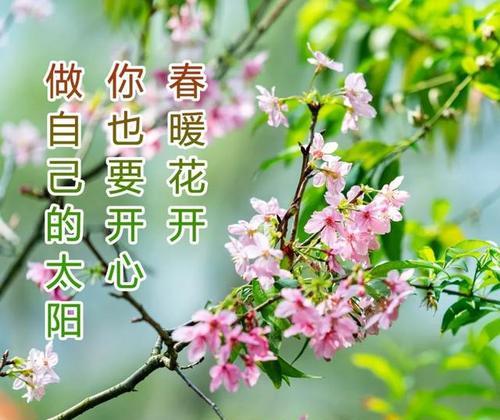 祝福女生越来越好，让每个女生都能闪耀光芒（以最真诚的祝愿，为女生加油助力）